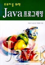 Java 프로그래밍